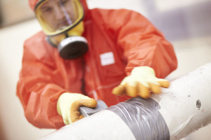 Asbestos & Mould Removal Services