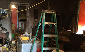 Asbestos & Mold Removal Services