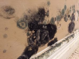Asbestos & Mould Removal St.Catharines Niagara – Davies Environmental